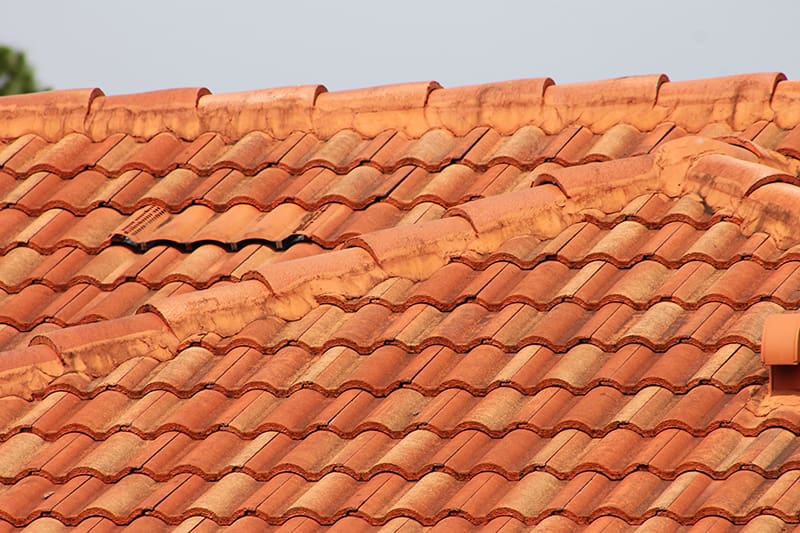 terra cotta roof